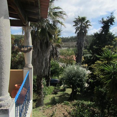 דירות Sao Pedro de Tomar Casa Amarela מראה חיצוני תמונה