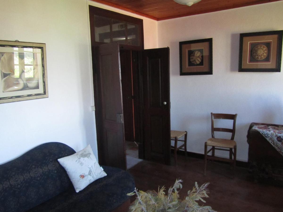דירות Sao Pedro de Tomar Casa Amarela מראה חיצוני תמונה