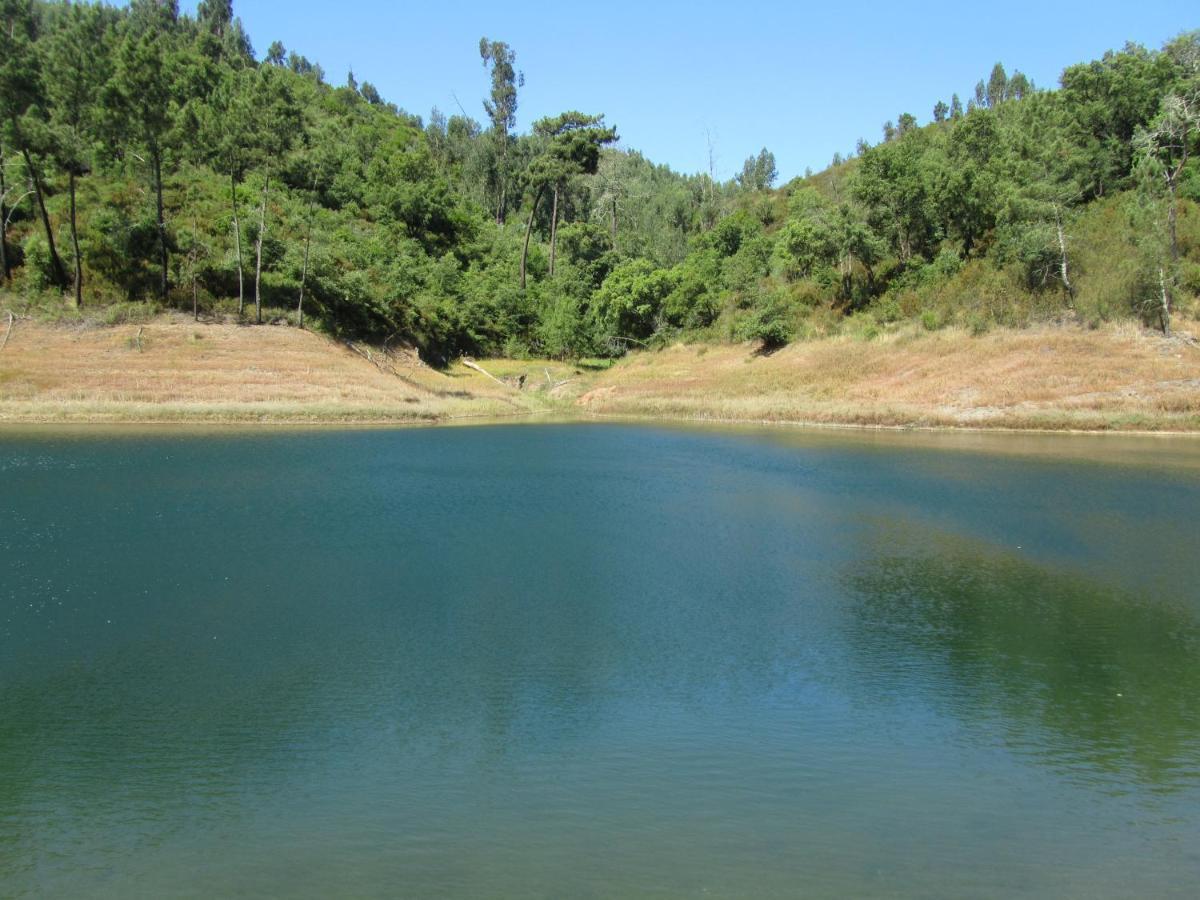 דירות Sao Pedro de Tomar Casa Amarela מראה חיצוני תמונה