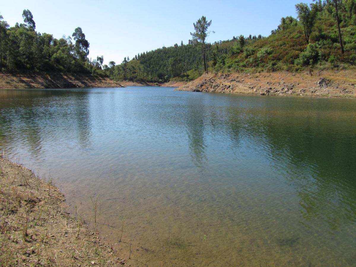 דירות Sao Pedro de Tomar Casa Amarela מראה חיצוני תמונה